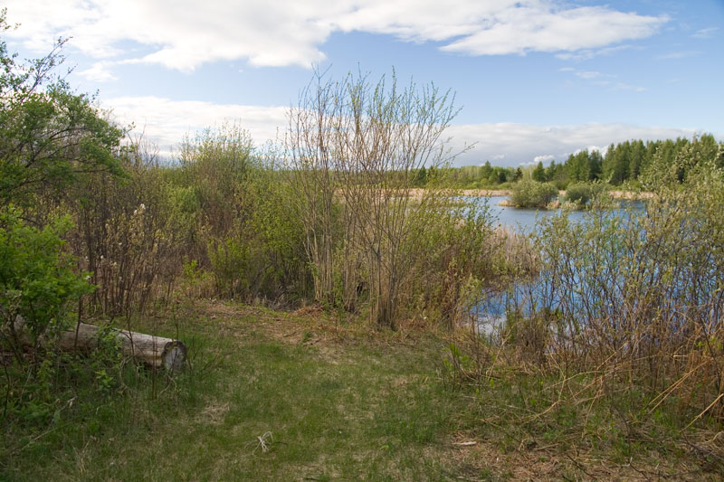 Beaver Pond